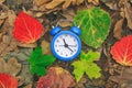 Autumn time. Fallen dry leaves on the ground. Colorful foliage and an alarm clock. Back to school. Discounts and sale. Royalty Free Stock Photo