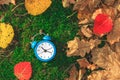 Autumn time. Fallen dry leaves on the ground. Colorful foliage and an alarm clock. Back to school. Discounts and sale.