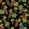 Autumn time garden blackcurrant, redcurrant watercolor seamless pattern on black background