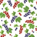 Autumn time garden blackcurrant, redcurrant watercolor seamless pattern on white background