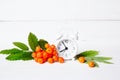 Autumn time greeting card concept. Retro alarm clock with a sprig of rowan berries on a white wooden background. Royalty Free Stock Photo