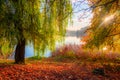 autumn time near lake, scenic nature