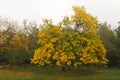 Autumn Time in Novorossiysk Royalty Free Stock Photo