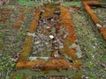 Autumn time in the old abandoned and ransacked Jewish cemetery