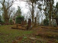 Autumn time in the old abandoned and ransacked Jewish cemetery