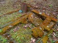 Autumn time in the old abandoned and ransacked Jewish cemetery