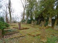 Autumn time in the old abandoned and ransacked Jewish cemetery