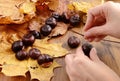 Autumn tinker creative figures of Chestnuts Royalty Free Stock Photo
