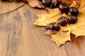 Autumn tinker creative figures of Chestnuts Royalty Free Stock Photo