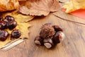 Autumn tinker creative figures of Chestnuts like Caterpillar and