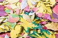 Autumn tints Royalty Free Stock Photo