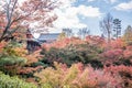 Autumn at tofukuji Temple