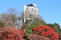 Autumn in Tokyo Royalty Free Stock Photo