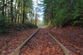 Autumn Tracks Royalty Free Stock Photo