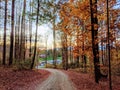 Autumn trail in Charlottesville VA