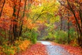 Autumn trail