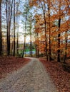 Autumn trail in Charlottesville VA