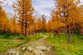 Autumn Trail Hiking Path In Mountains In Fall Season With Colorful Trees Royalty Free Stock Photo