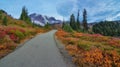 Autumn Trail, Mt. Rainier National Park, Washington State Royalty Free Stock Photo