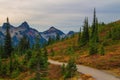 Autumn Trail in Mt. Rainier National Park, Washington State