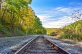 Autumn Train Tracks Royalty Free Stock Photo