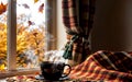 Autumn Tranquility Cozy Moments by the Window Royalty Free Stock Photo