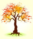 Autumn tree Royalty Free Stock Photo