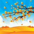 Autumn tree