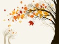 Autumn tree Royalty Free Stock Photo