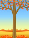 Autumn Tree Background/eps Royalty Free Stock Photo