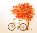 Autumn tree background with a yellow bicycle. Royalty Free Stock Photo