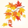 Autumn tree with beautiful flying leaves . Autumn card.Vector illustration.