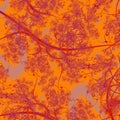 Autumn Tree Branches abstract