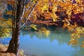 Autumn tree over lake Royalty Free Stock Photo