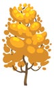 Autumn tree. Cartoon plant with yellow fall foliage