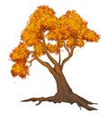 Autumn tree Royalty Free Stock Photo