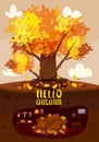 Autumn tree colorfull, cute Bear is sleeping in a burrow, hole. Lettering Hello Atumn, fall background rural countryside Royalty Free Stock Photo