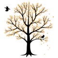 Autumn tree and crows