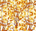 Autumn tree. Fall Leaves Background Royalty Free Stock Photo
