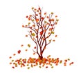Autumn tree. Fall Leaves Background Royalty Free Stock Photo