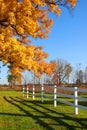 Autumn tree and fence Royalty Free Stock Photo