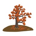 Autumn tree on a glade. Beautiful vector illustration. Doodle
