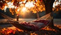 Autumn tree, hammock, relaxation yellow sunset, tranquil forest beauty generated by AI Royalty Free Stock Photo