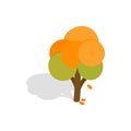 Autumn tree icon, isometric 3d style Royalty Free Stock Photo