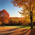 autumn tree in idyllic beautiful blurred autumn landscape panorama with fall leaves in sunshine, advertising space on Royalty Free Stock Photo