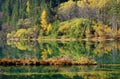 Autumn tree and lake in Jiuzhaigou Royalty Free Stock Photo