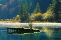 Autumn tree and lake in Jiuzhaigou Royalty Free Stock Photo