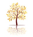 Autumn tree with leaves vector