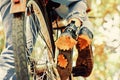 Autumn tree leaves and vinrage bike. Fall concept. Riding the bicycle in the park. Active people. Outdoors. Enjoying Royalty Free Stock Photo