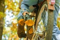 Autumn tree leaves and vinrage bike. Fall concept. Riding the bicycle in the park. Active people. Outdoors. Enjoying